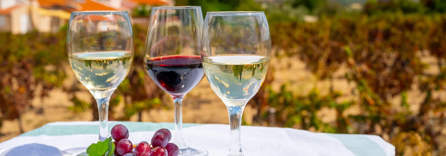 banner-last-minute-cyprus-vacation-packages-strategies-and-deals-1